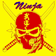 Download Ninja 2 For PC Windows and Mac