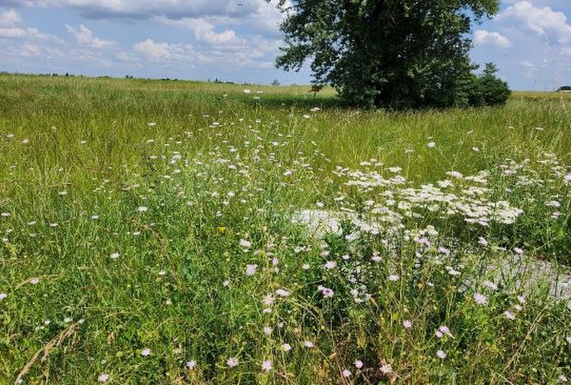  Vente Terrain à bâtir - 1 000m² à Colomiers (31770) 