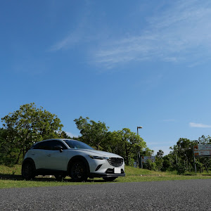 CX-3 DK5FW