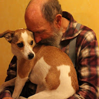 L'affetto di 
