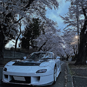 RX-7 FD3S 後期