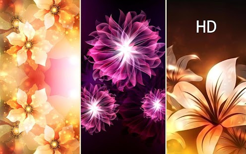 Featured image of post Glowing Flowers Live Wallpapers : The flower wallpapers also work well as background pictures for your iphone or android smartphone.
