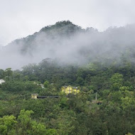 南庄橄欖樹｜民宿｜咖啡廳｜下午茶｜套餐