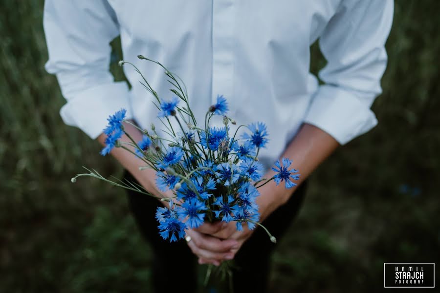 Photographe de mariage Kamil Strajch (kamilstrajch). Photo du 11 février 2020