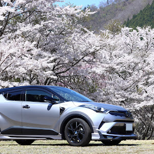 C-HR ZYX10