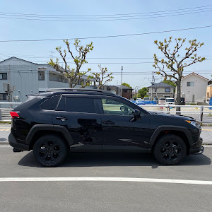 RAV4