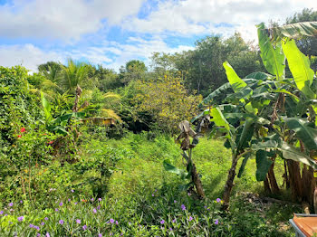 chalet à Anse bertrand (971)