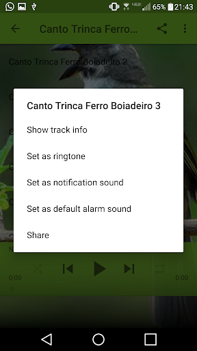 Canto Trinca Ferro Boiadeiro