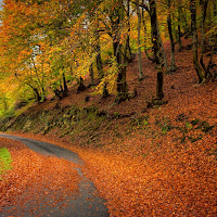 La strada verso l'inverno di 