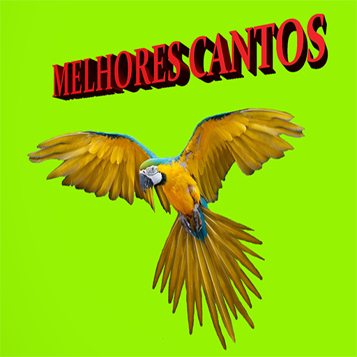 TOP CANTOS DE PÁSSAROS