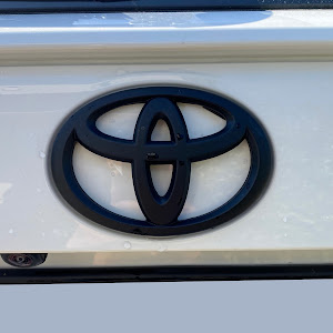 RAV4 MXAA54