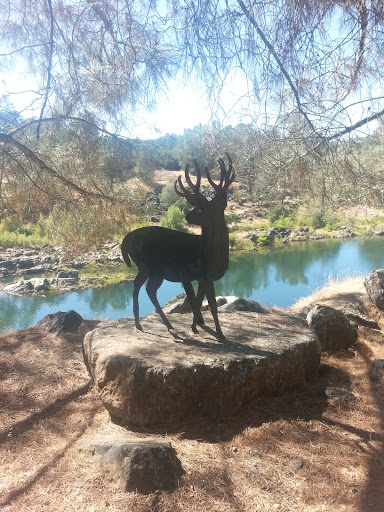 The Deer