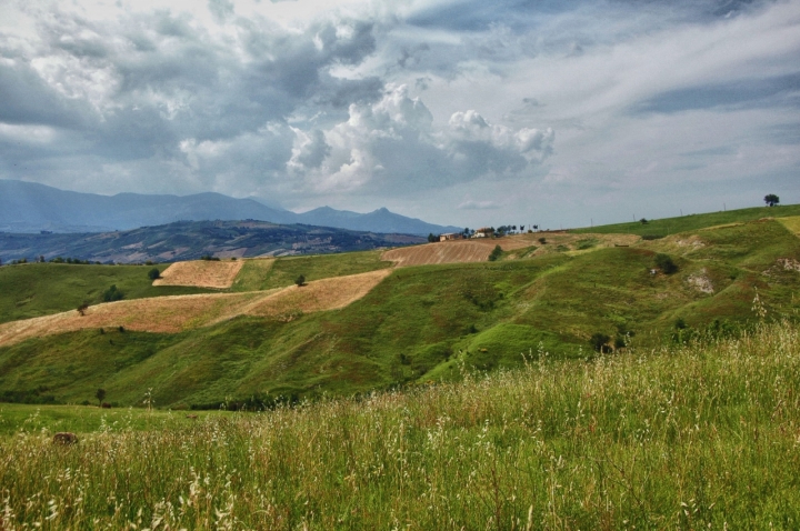 Verde primavera di si