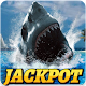 Download CASINO MEGA WIN : Wild Shark Slot Machine For PC Windows and Mac 1.0.0