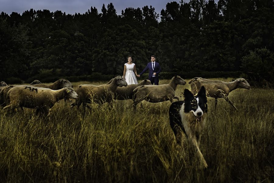 Fotógrafo de casamento Rafael Ramajo Simón (rafaelramajosim). Foto de 2 de agosto 2017