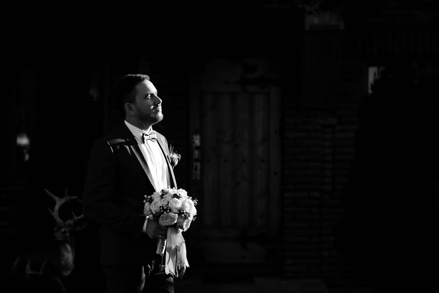 Nhiếp ảnh gia ảnh cưới Vladimir Dmitrovskiy (vovik14). Ảnh của 22 tháng 2 2017