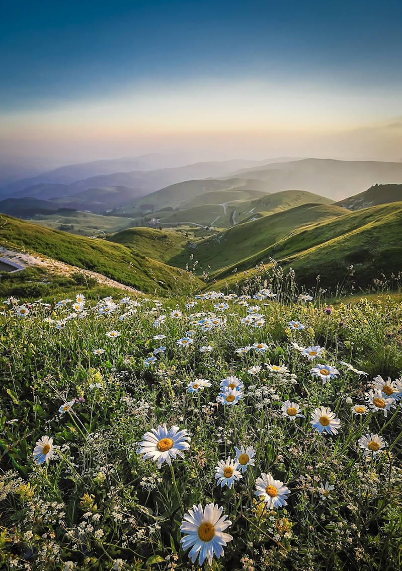 "... Primavera a Cima Grappa" di alberto66