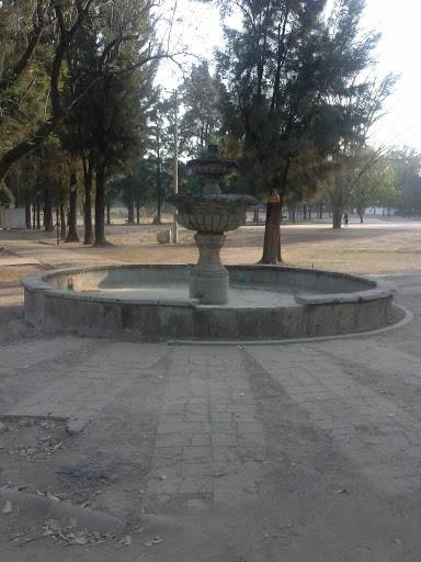 Fuente #3