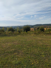 terrain à Mensignac (24)