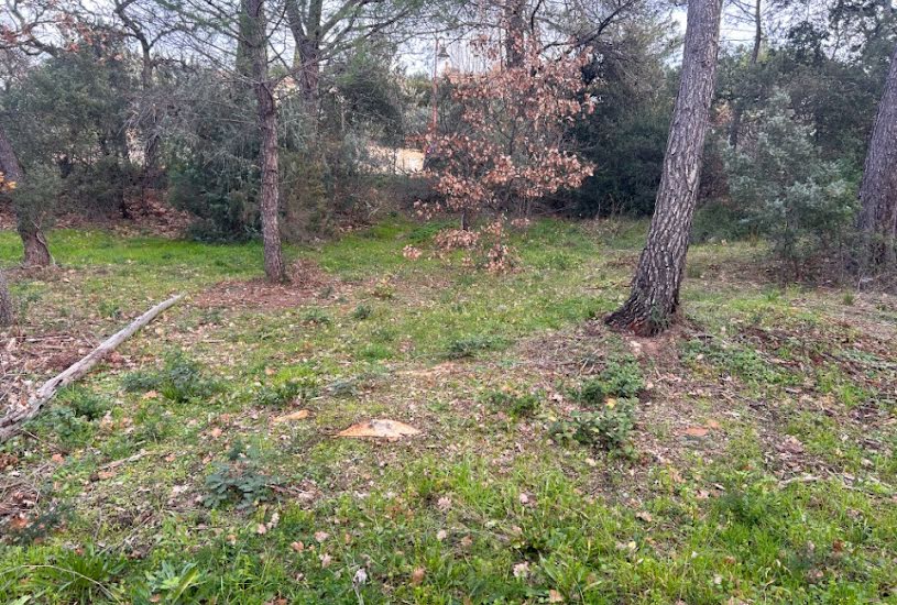  Vente Terrain + Maison - Terrain : 987m² - Maison : 130m² à Vidauban (83550) 