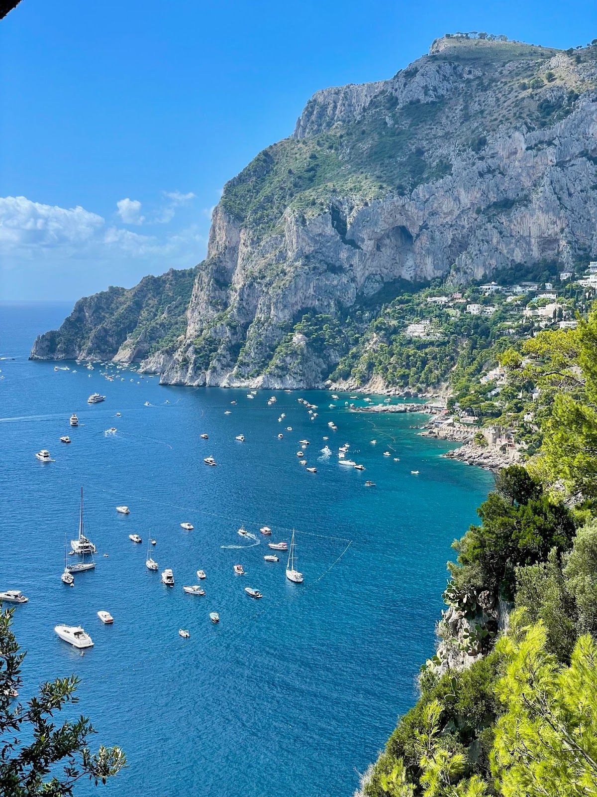 capri