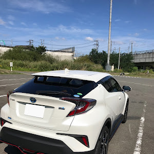 C-HR ZYX10