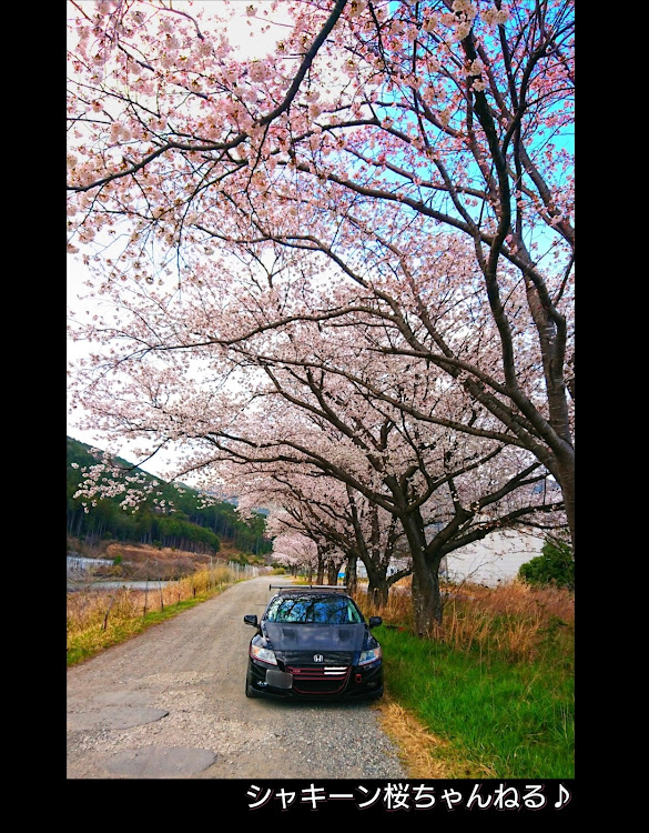 CR-Zの桜ちゃんさんが投稿したカスタム事例の投稿画像2枚目