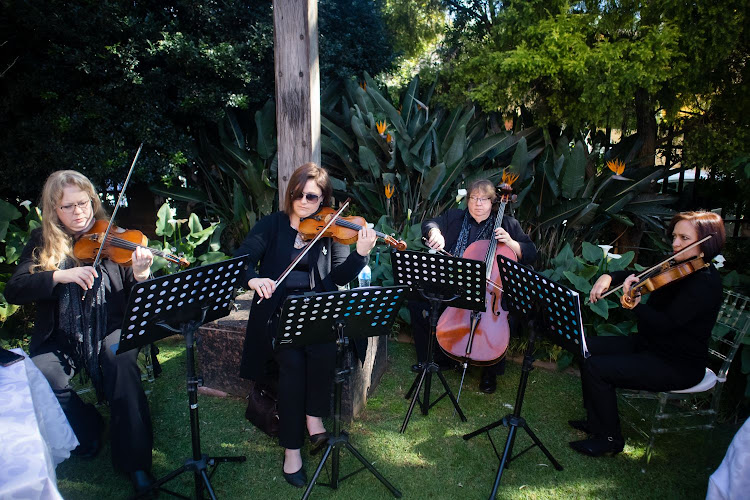 Local string quartet serenaded guests at the wedding ceremony. .