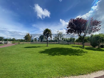 appartement à Villedieu-les-Poêles (50)