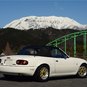 ロードスター NA8C