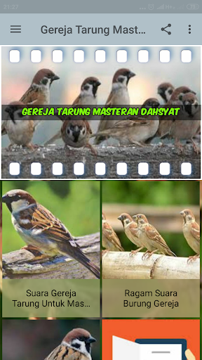 Gereja Tarung Masteran Dahsyat Offline