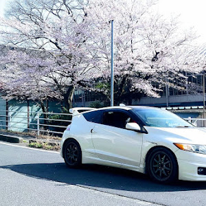 CR-Z ZF1