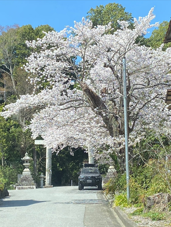 の投稿画像1枚目