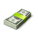 Expense Balance icon