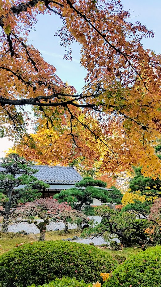 Fall at the Portland Japanese Garden, visiting for Autumn Portland Japanese Garden fall foliage photos on October 2017