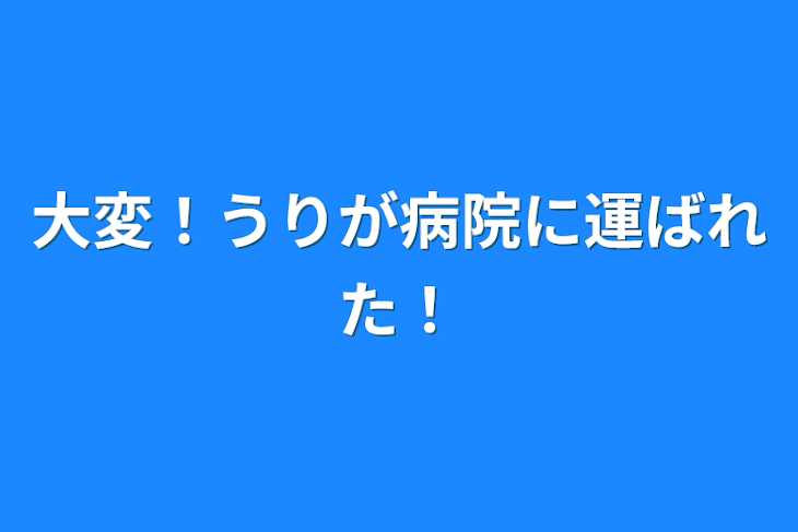 「大変！うりが病院に運ばれた！」のメインビジュアル