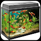 Download aquarium design ideas For PC Windows and Mac 1.0