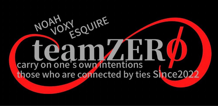 ヴォクシーのチームピンスト・teamZERO・Liberdade・i-tune FAMILY・汎用カナードに関するカスタム事例の投稿画像13枚目