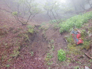 林道出合（登山道を振り向く）