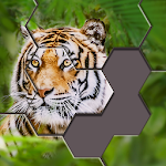 Cover Image of Descargar Rompecabezas hexagonal ® 14.03 APK