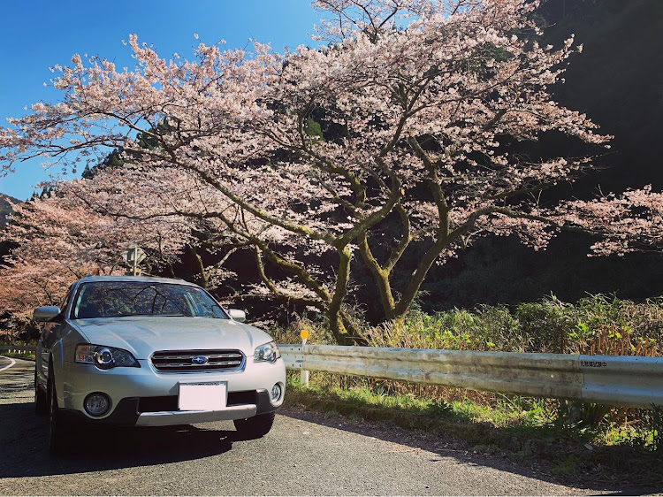 レガシィ アウトバックの桜と愛車・ドライブに関するカスタム事例の投稿画像3枚目