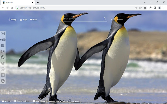 Penguin Wallpaper New Tab