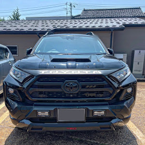 RAV4 MXAA54