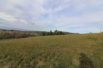 terrain à Montchal (42)