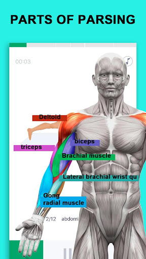 Arm Max-28 Days Plan