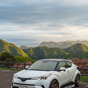 C-HR ZYX10