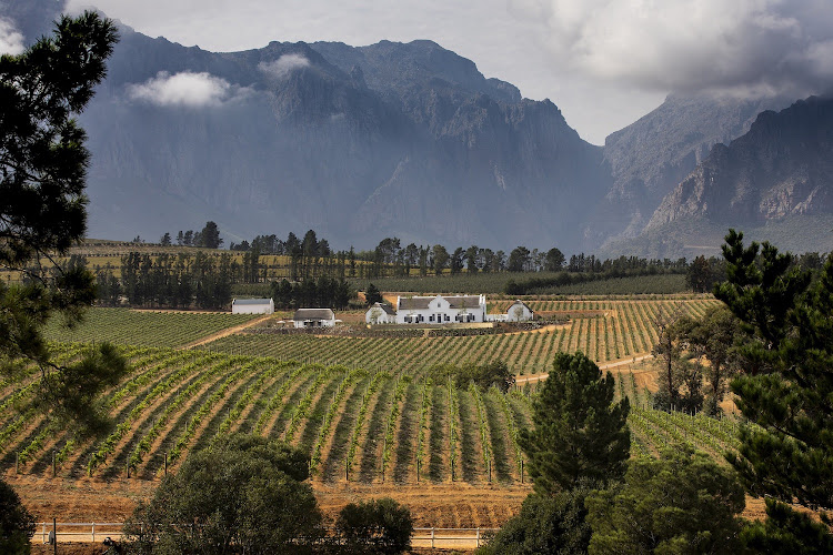 Brookdale Estate - Manor House Vineyards And Mountain Views.