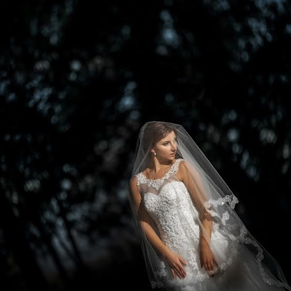 Wedding photographer Olya Shlemenkova (missolka). Photo of 16 July 2015