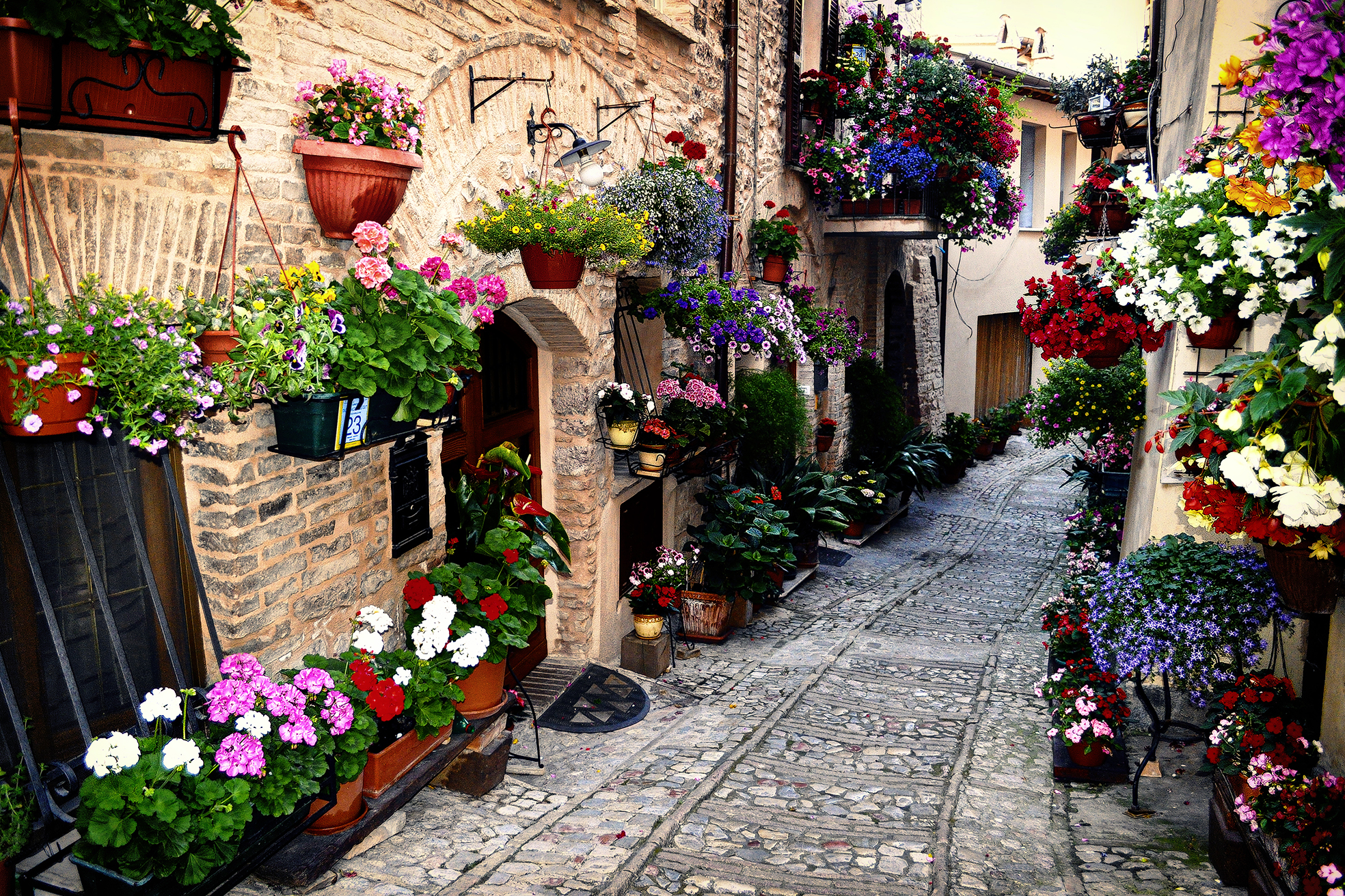 Spello cittadella dei fiori di NinoZx21