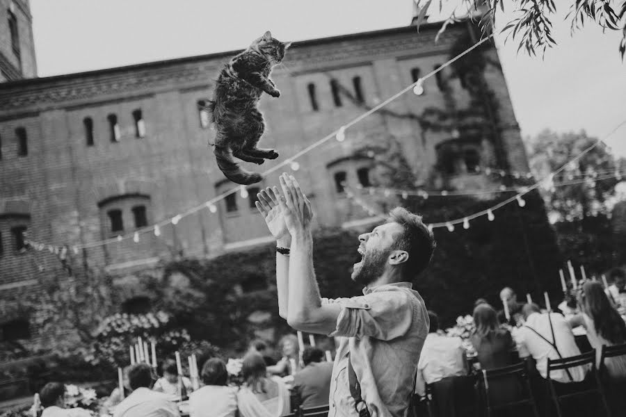 Fotógrafo de casamento Dima Taranenko (dimataranenko). Foto de 1 de dezembro 2015